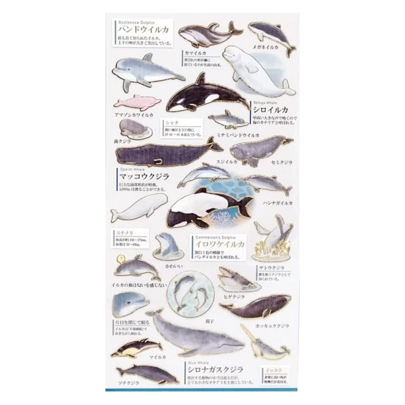 Goldfoil Sticker Sheet · Dolphins and Whales